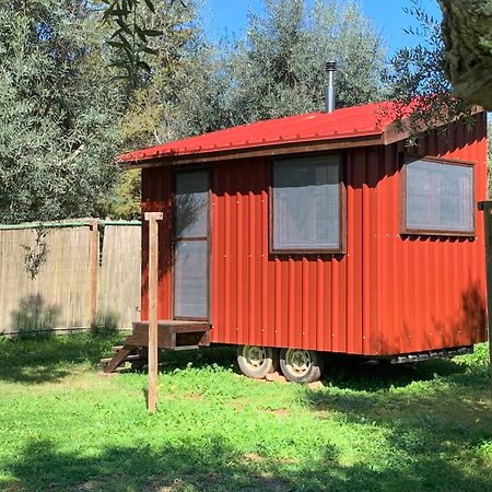 Figueirinha Ecoturismo Guest House Monte da Estrada Eksteriør bilde