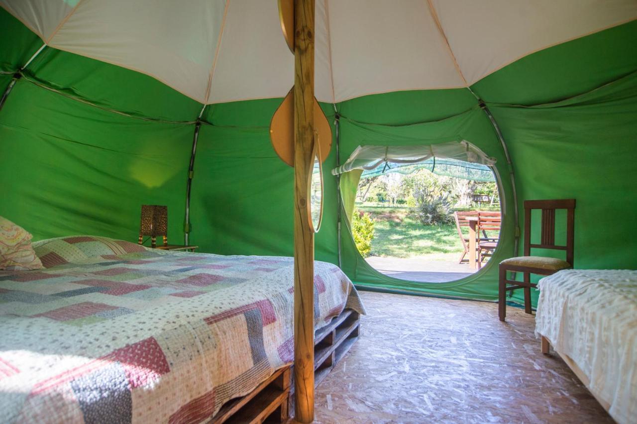 Figueirinha Ecoturismo Guest House Monte da Estrada Eksteriør bilde