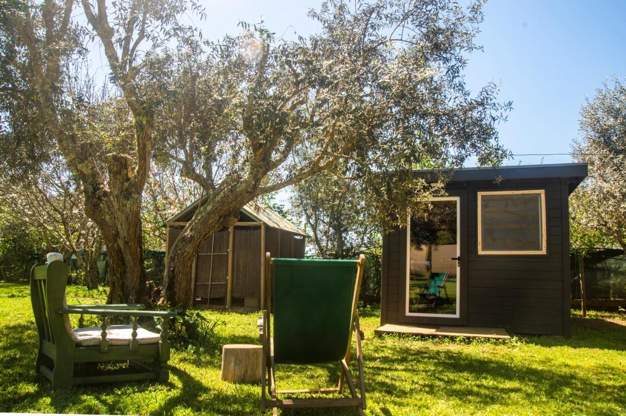 Figueirinha Ecoturismo Guest House Monte da Estrada Eksteriør bilde