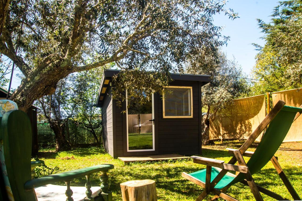 Figueirinha Ecoturismo Guest House Monte da Estrada Eksteriør bilde