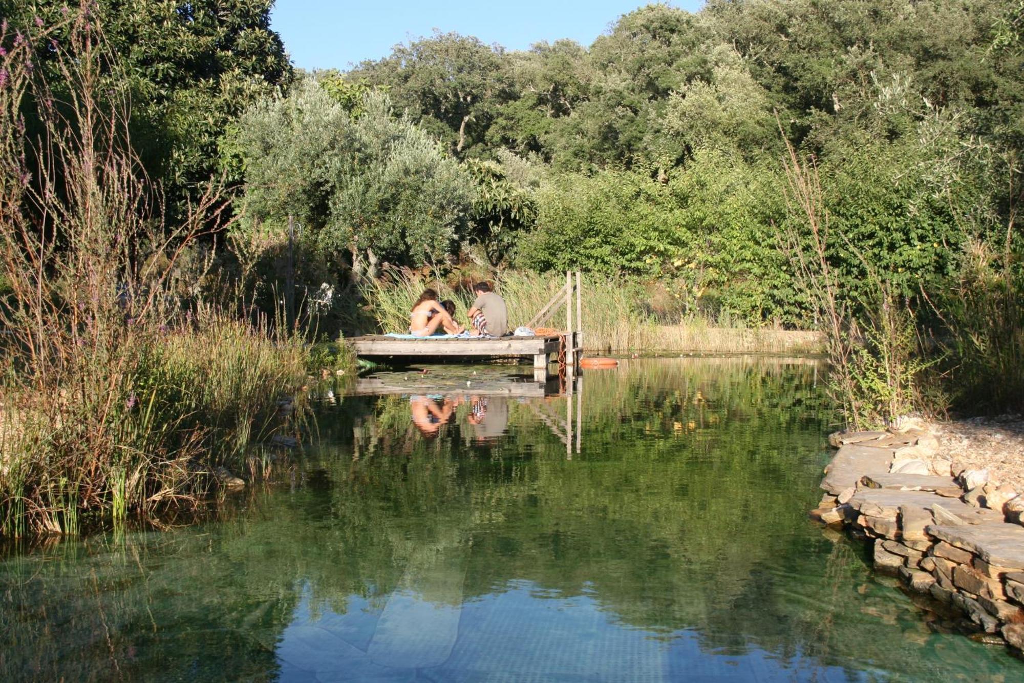 Figueirinha Ecoturismo Guest House Monte da Estrada Eksteriør bilde