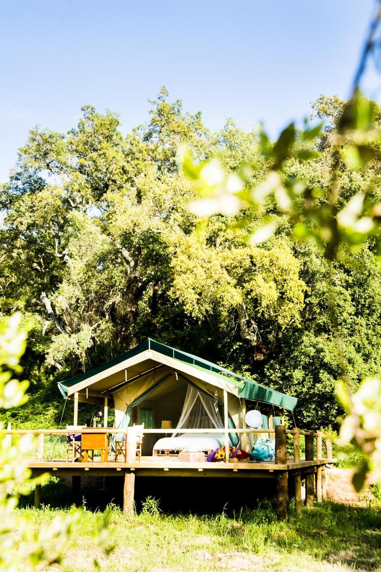 Figueirinha Ecoturismo Guest House Monte da Estrada Rom bilde